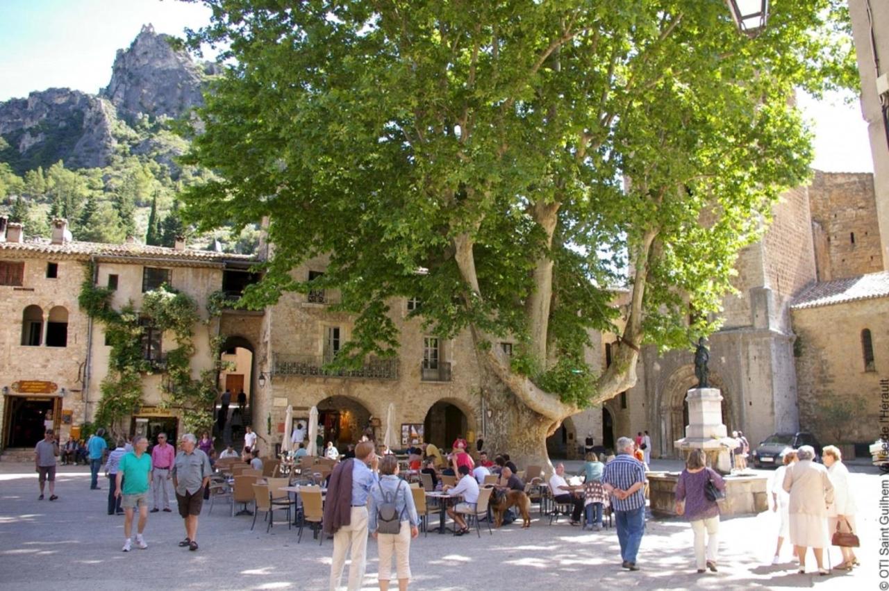 "Le Patio"-Meuble De Tourisme 3 Etoiles -Residence "Les Logis De Beziers"-Garage Optionnel-Coeur De Ville-Plages A 16Km ! Экстерьер фото