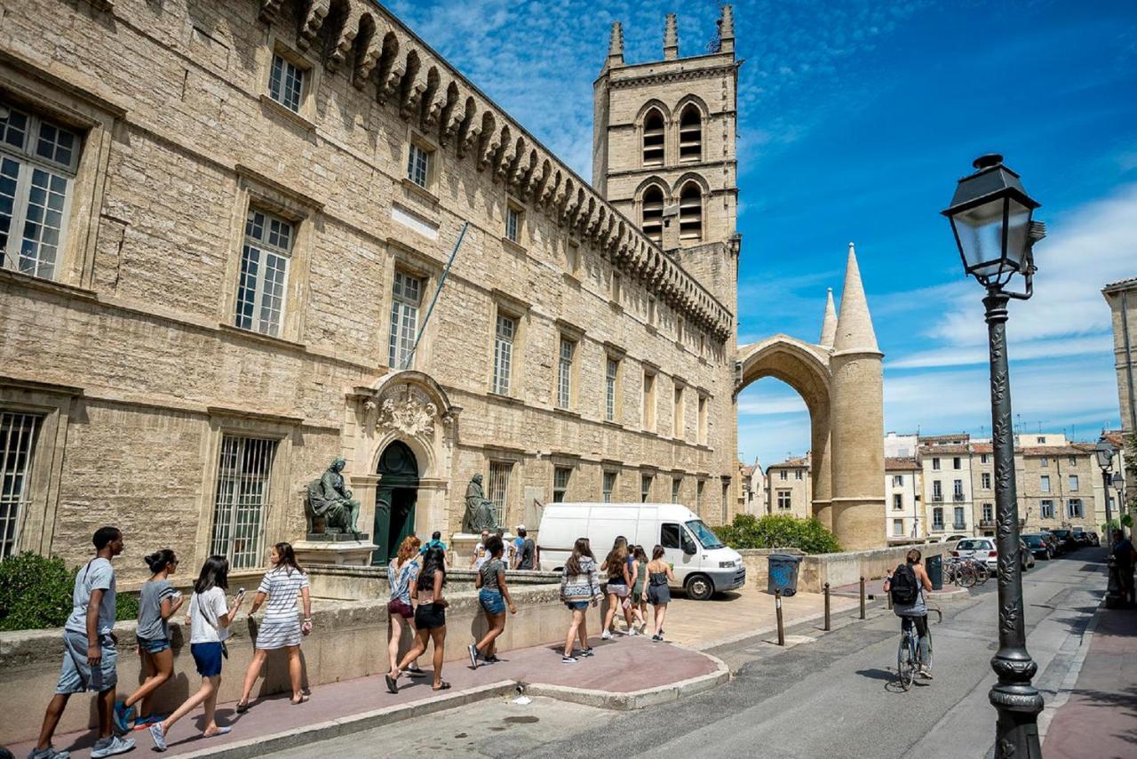 "Le Patio"-Meuble De Tourisme 3 Etoiles -Residence "Les Logis De Beziers"-Garage Optionnel-Coeur De Ville-Plages A 16Km ! Экстерьер фото
